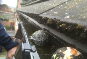 Gutter cleaning Quedgelely